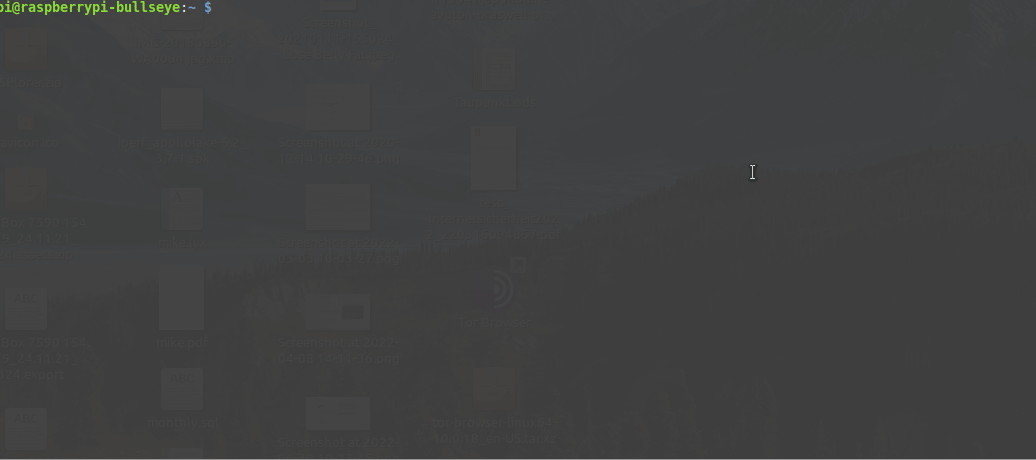 raspiBackupInstall en